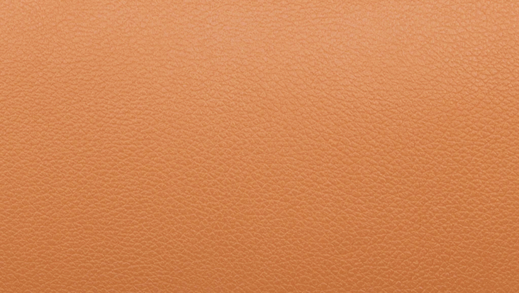 Hermès Epsom Leather