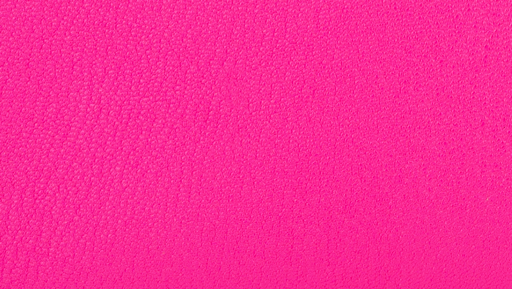 Hermès Chèvre de Coromandel Leather