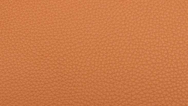 Hermès Tadelakt Leather
