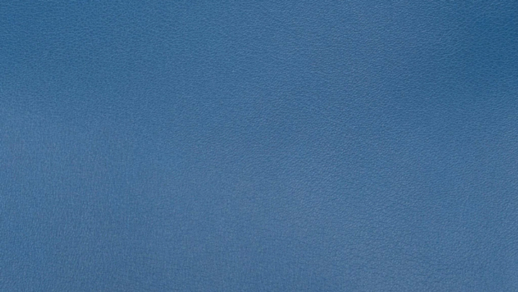 Hermès Evercolor Leather